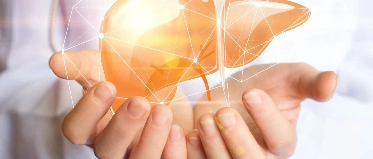 ILTS 2025丨3D生物打印肝窦模型：肝移植组织修复新突破