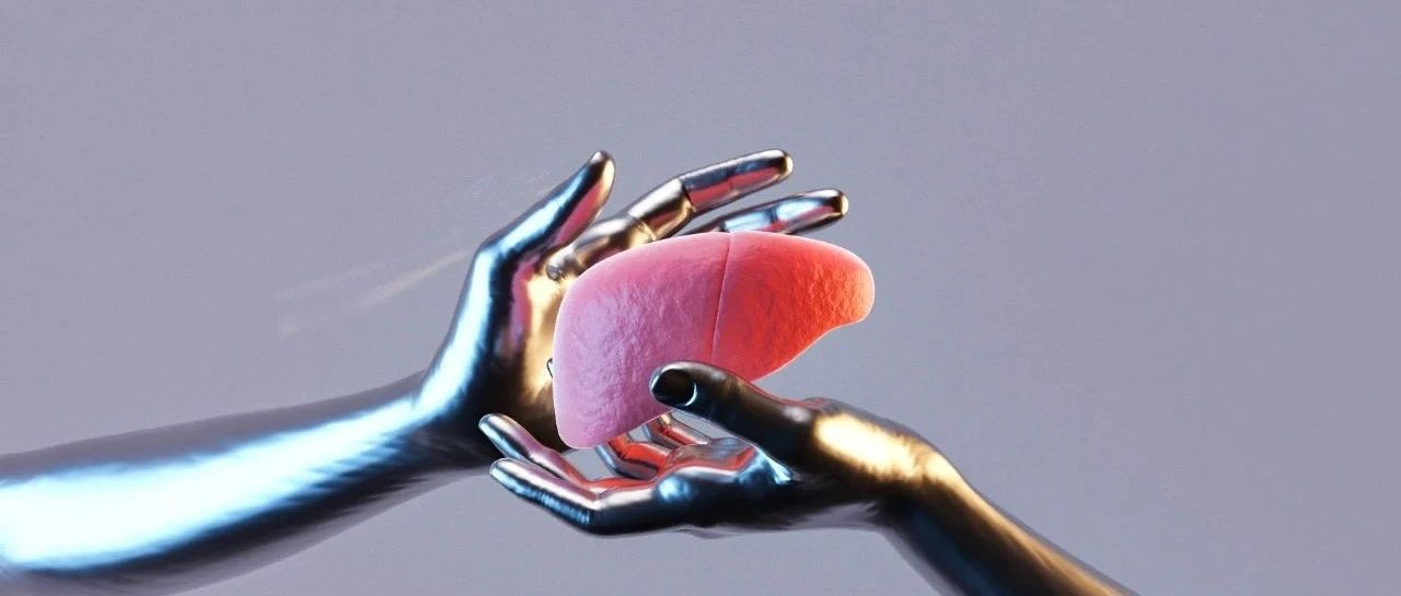 Hepatology丨华中科技大学同济医院刘梅/田德安/王涵团队揭示自身免疫性肝炎新机制