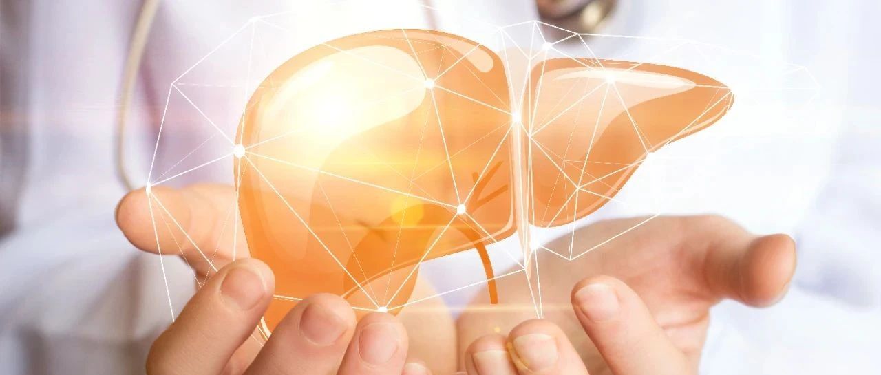 Hepatol Int丨肌内脂肪变性可作为肝移植患者预后及围手术期不良结局的强效预测因子